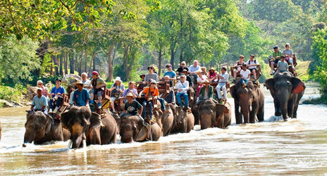 Chiang Mai - Campamento de Elefantes